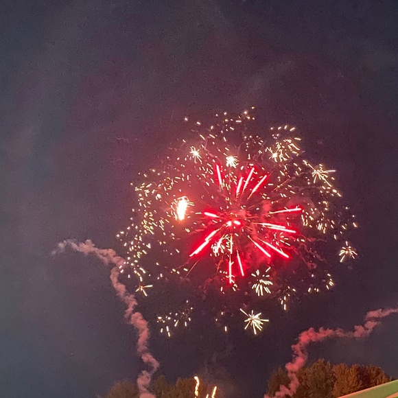 Meet your Posher, Annalisa - Picture 1 of 1